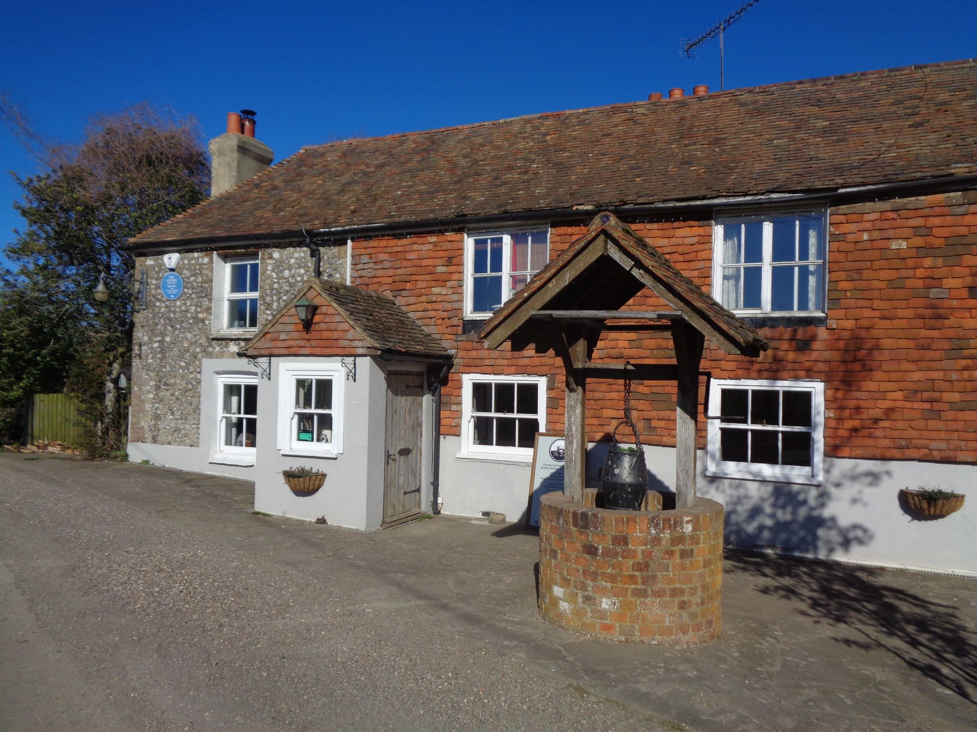 The Duck at Pett Bottom